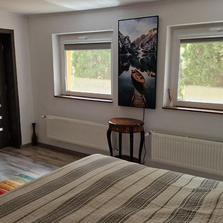 Casa Teo Hotel Бузау Екстериор снимка